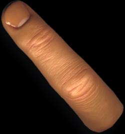 mega realistic prosthetic finger