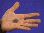 Animation of Magnet-Up